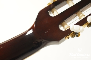 TSC-550/N - SB